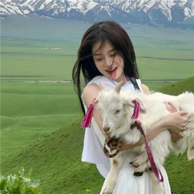 小楼雏妓